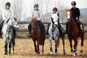 Poneys et chevaux