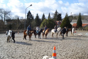 Carrière de dressage